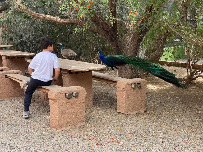 La Perle Aux Oiseaux
